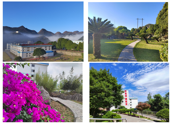 1718074980176348.png 3.png