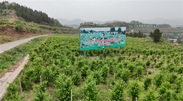 1748423451226074.png 圖片2.png