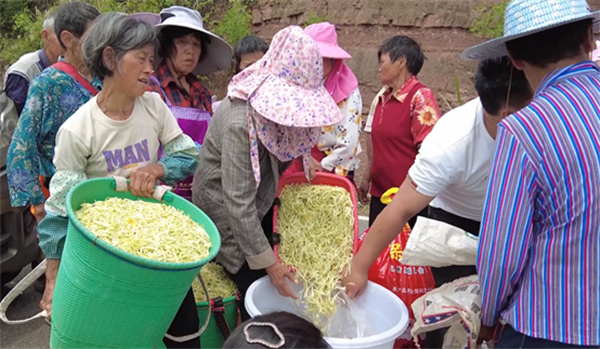 1748423537643406.png 圖片4.png