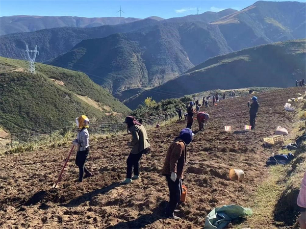 1772434810859420.jpg 2.jpg