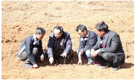 耿福能在涼山州布拖縣樂安鄉(xiāng)火燈村調(diào)研指導(dǎo)附子種植